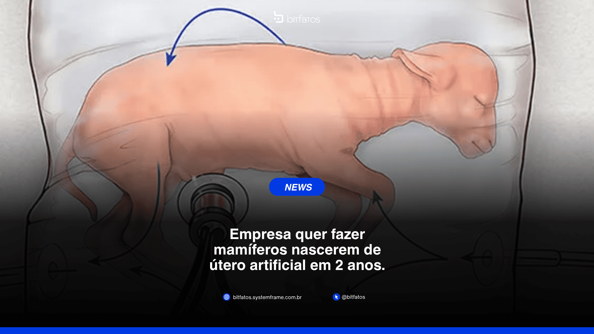 Útero artificial: o que já existe e o que ainda é promessa