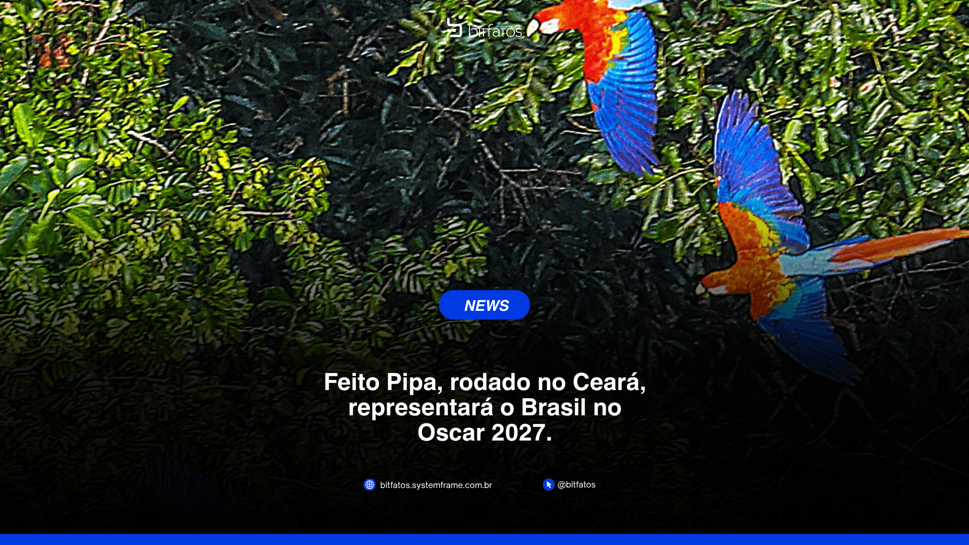 Como o Brasil escolhe o filme brasileiro no Oscar