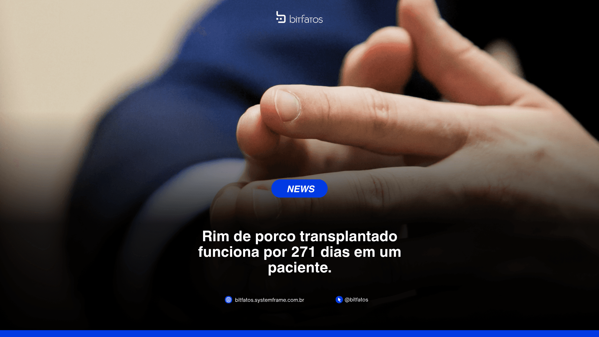Xenotransplante de rim de porco: como o órgão funcionou por 271 dias